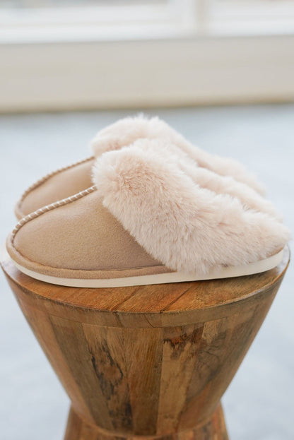 Molly Plush Suede Winter Home Slippers