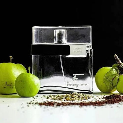 F By Salvatore Ferragamo For Men 3.4 oz EDT Spray