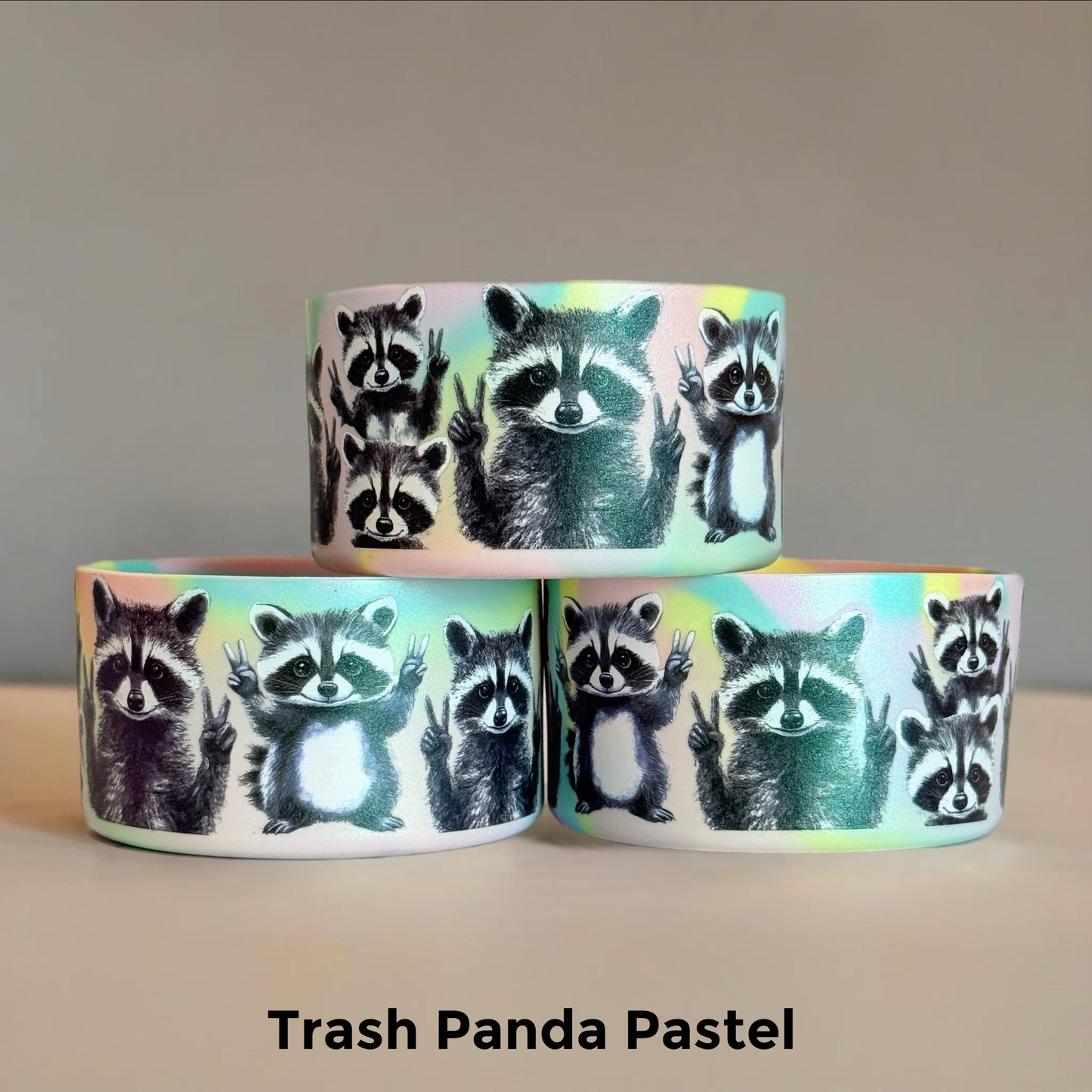 Trash Panda Raccoon Pastel Tumbler Boot